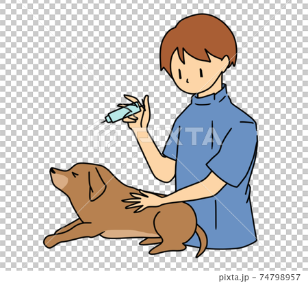 狗接受注射 狗接受注射 74798957