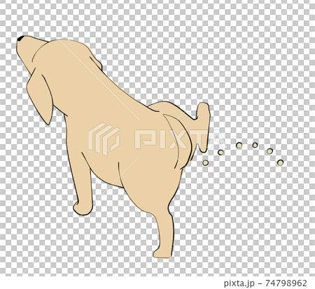 マーキングする犬のイラスト素材