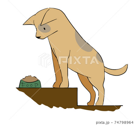 段差に乗ってごはんを待つ犬 74798964