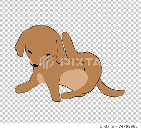 頭をかく犬のイラスト素材