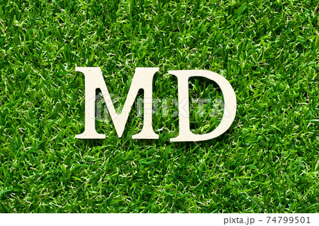 Wood alphabet letter in word MD (abbreviation of doctor of medicine or managing director) on green grass background 74799501