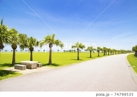 豊崎海浜公園 豊崎海浜公園 74799535