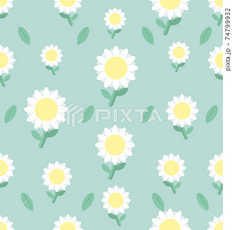 White daisy flower seamless pattern on background 74799932