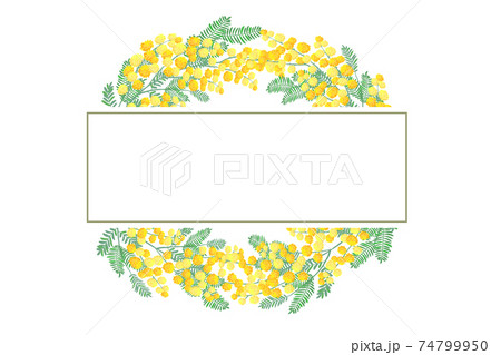 ミモザの花 フレーム ミモザの花 フレーム 74799950