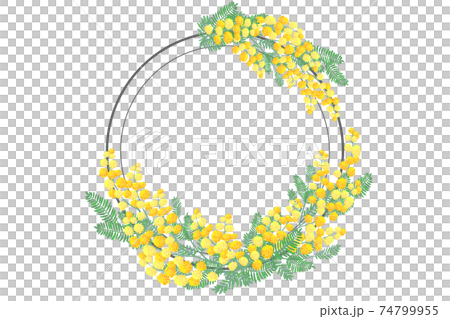 ミモザの花 フレーム ミモザの花 フレーム 74799955