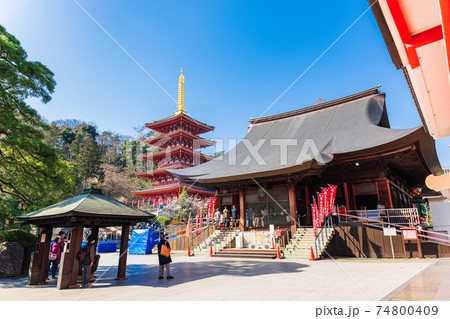 東京　高幡不動尊金剛寺　不動堂と五重塔 74800409