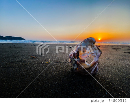 湘南海岸夕焼け 74800512