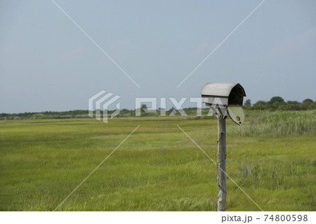Mailbox and fields 74800598