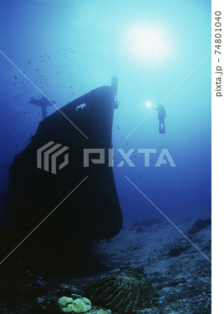 Scuba Diver Exploring Sunken Ship 74801040
