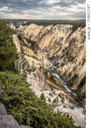 Lower Yellowstone Falls in the Yellowstone National Park 74801247