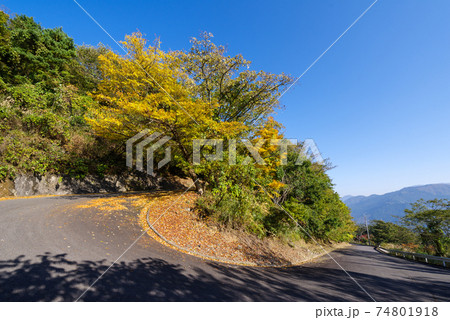【翠波高原】山頂へ向かう峠道 【翠波高原】山頂へ向かう峠道 74801918