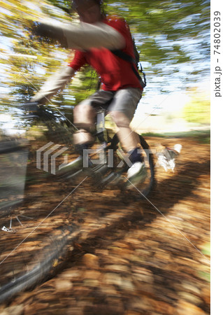 Dog Chasing Man On Mountain Bike Dog Chasing Man On Mountain Bike 74802039