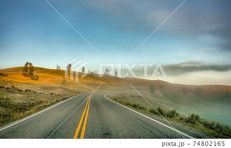 Hayden Valley, Yellowstone National Park 74802165