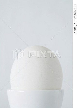 Egg in egg cup, close up, studio shot Egg in egg cup, close up, studio shot 74802595