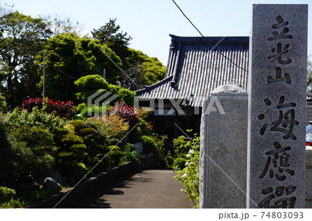 海応寺 海応寺 74803093