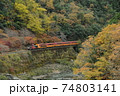 秋の嵯峨野トロッコ列車 74803141