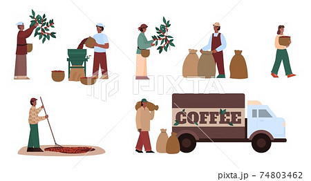 Farmer working on agriculture farm and engaged manufacturing coffee production Farmer working on agriculture farm and engaged manufacturing coffee production 74803462