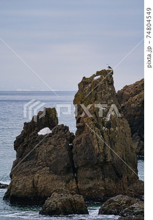 北海道　礼文華　大岸海岸 74804549