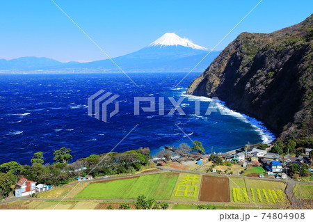 伊豆半島の旅 井田峠より望む駿河湾と富士山 伊豆半島の旅 井田峠より望む駿河湾と富士山 74804908