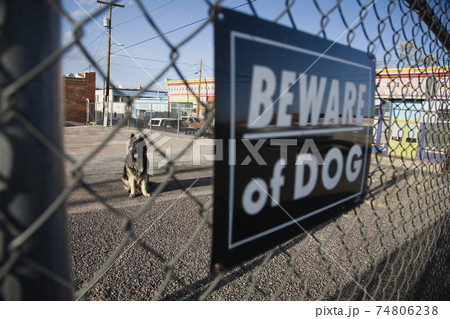 Guard dog behind 'Beware of dog' sign on fence 74806238