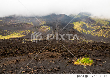 Mount Etna volcanic landscape and its typical summer vegetation Mount Etna volcanic landscape and its typical summer vegetation 74807246