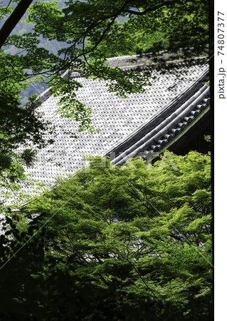 寺院の瓦屋根 74807377