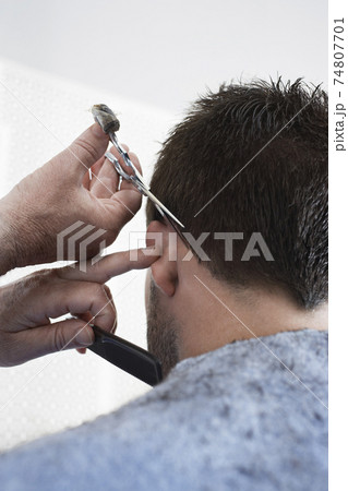 STOCK PHOTOGRAPHY PHOTOS STOCK PHOTOGRAPHY PHOTOS 74807701