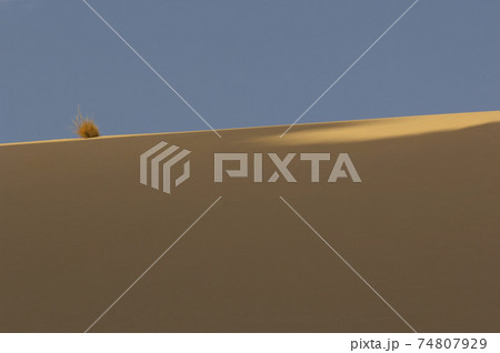 STOCK PHOTOGRAPHY PHOTOS STOCK PHOTOGRAPHY PHOTOS 74807929