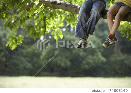 STOCK PHOTOGRAPHY PHOTOS STOCK PHOTOGRAPHY PHOTOS 74808149