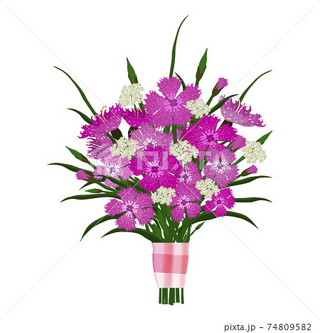 Bouquet of carnations. Cartoon flat style 74809582