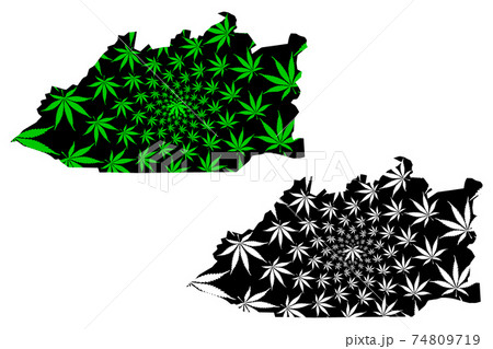 Karaganda Region (Republic of Kazakhstan, Regions of Kazakhstan) map is designed cannabis leaf green and black, Qaraghandy map made of marijuana (marihuana,THC) foliage.... Karaganda Region (Republic of Kazakhstan, Regions of Kazakhstan) map is designed cannabis leaf green and black, Qaraghandy map made of marijuana (marihuana,THC) foliage.... 74809719
