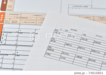 被保険者報酬月額算定基礎届 74810801