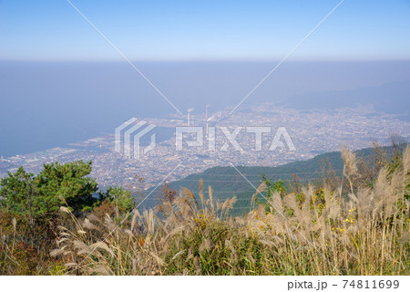 【翠波高原】ススキと川之江町俯瞰 74811699