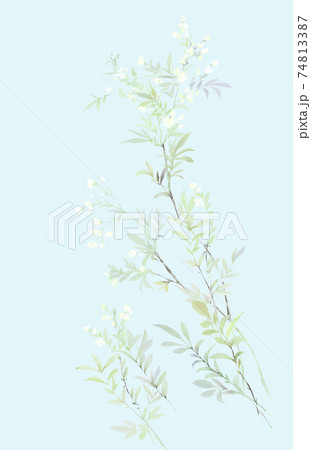 透明水彩 水彩画 花 74813387