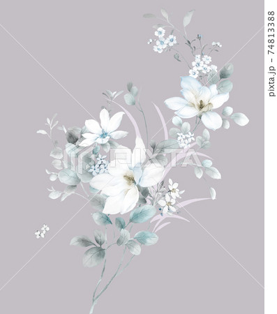 透明水彩 水彩画 花 74813388