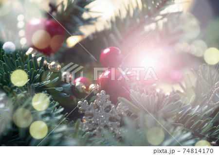 Christmas card. Defocused fir branches, holly berries. Christmas card. Defocused fir branches, holly berries. 74814170