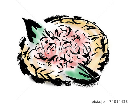 桜海老のざるに入った和風手描きイラスト素材のイラスト素材