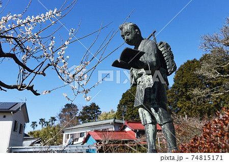 二宮金次郎像と梅の花 74815171
