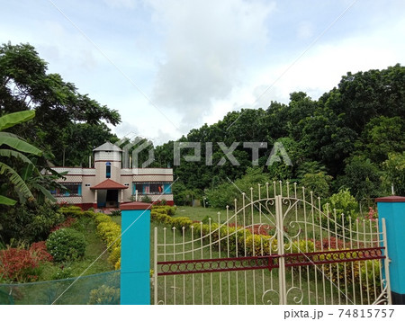 multiple colored beautiful leaf tree plant on house 74815757