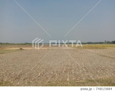 field and sky closeup with nature field and sky closeup with nature 74815884