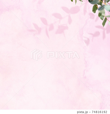 ピンク色の壁とユーカリの葉で構成された爽やかなイメージの背景 複数のバリエーションがありますのイラスト素材