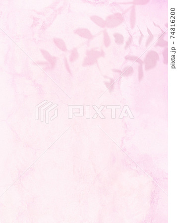 ピンク色の壁とユーカリの葉で構成された爽やかなイメージの背景 複数のバリエーションがありますのイラスト素材