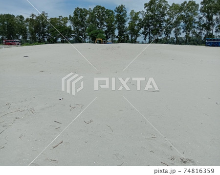 green tree plant with nature and sky 74816359