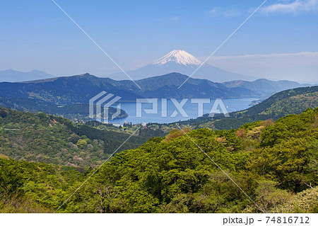 神奈川県・箱根/ 大観山展望台付近から見る新緑が美しい芦ノ湖と富士山 74816712