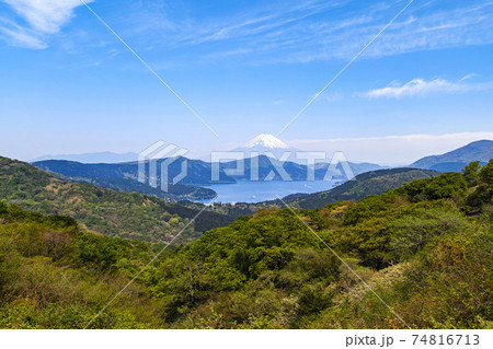 神奈川県・箱根/ 大観山展望台付近から見る新緑が美しい芦ノ湖と富士山 74816713