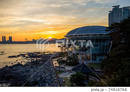 scenery of Dongbaekseom Island in Busan, South Korea 74816768