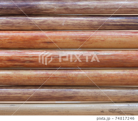 ススキの稈（茎）の背景素材 74817246