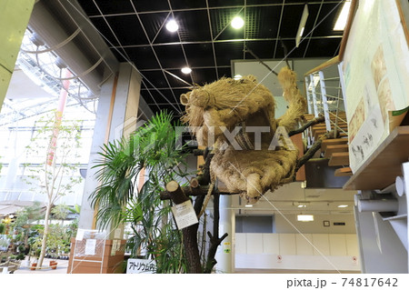 川口緑化センター 樹里安 道の駅川口・あんぎょう 川口緑化センター 樹里安 道の駅川口・あんぎょう 74817642