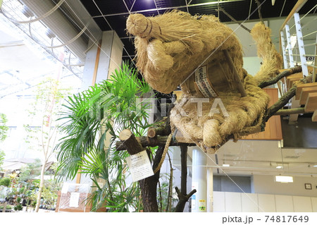 川口緑化センター 樹里安 道の駅川口・あんぎょう 川口緑化センター 樹里安 道の駅川口・あんぎょう 74817649