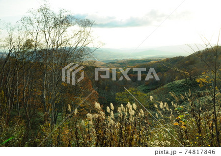 ニセコパノラマライン 74817846